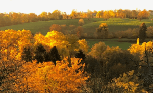 Balade d'automne ©Val-Dieu