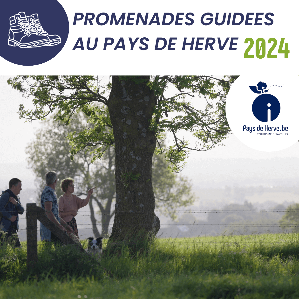 Brochure Promenades guidées au Pays de Herve 2024